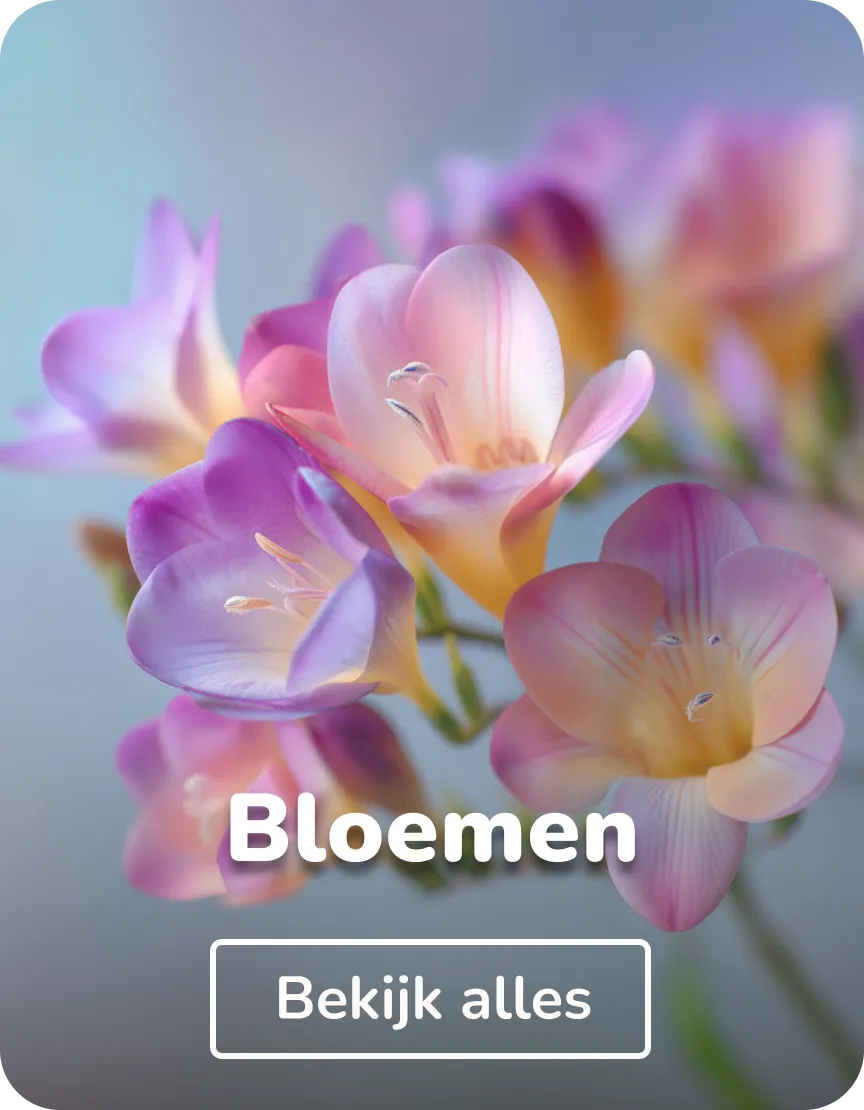 Schoolplaat bloemen