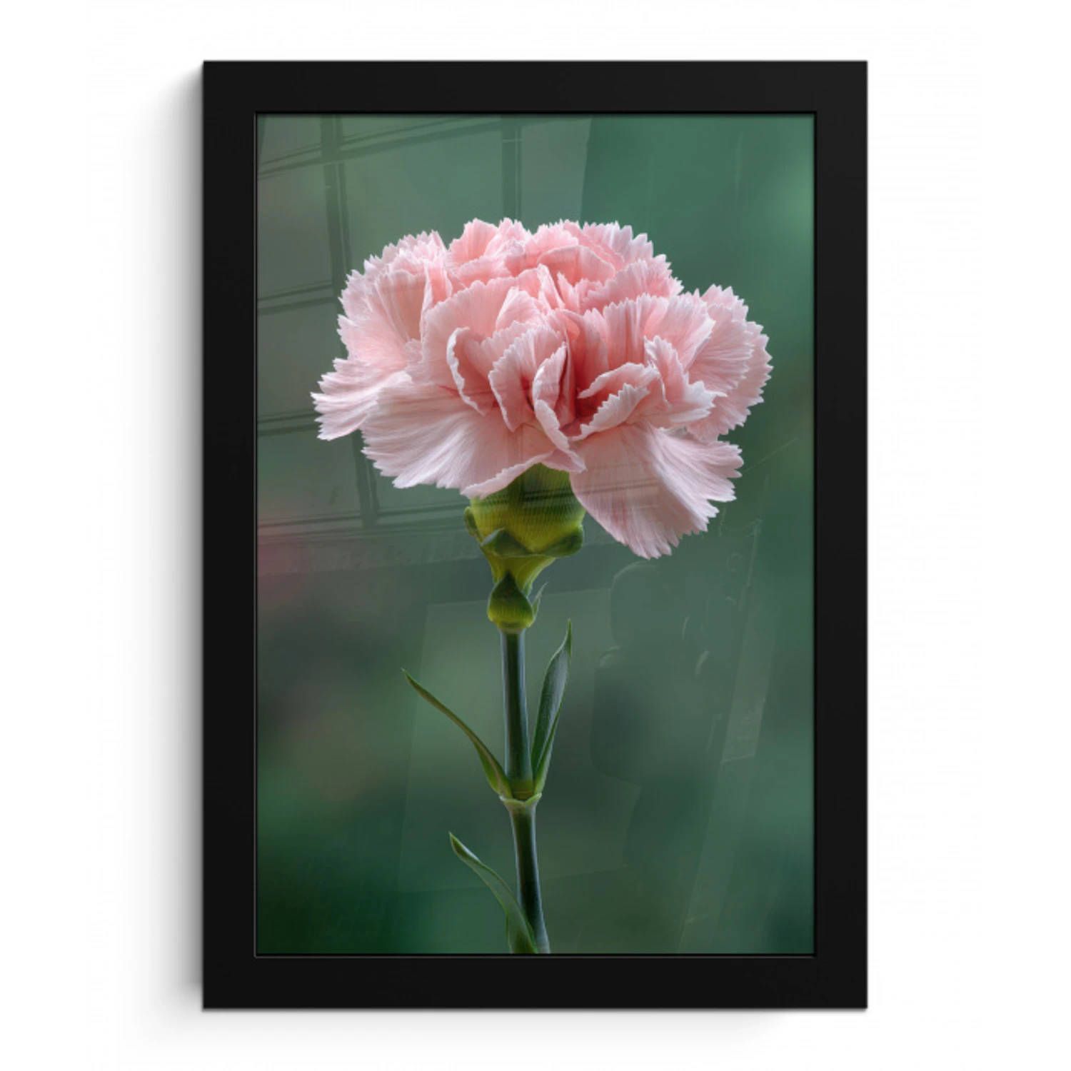 Anjer - Roze - Bloemblaadjes fotolijst zwart zonder passe partout klein -3d