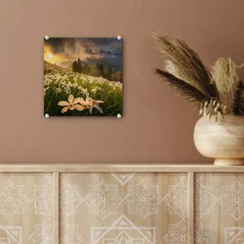 Bloemenveld - Heuvels - Zonsondergang - Berg - Natuur - Wit - Heuvels plexiglas 5mm klein -sfeer5