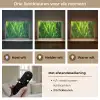 Grassprieten - Lichtinval - Groen Light Box met batterij (Wandlamp) middel -USP_lichtkleurNL