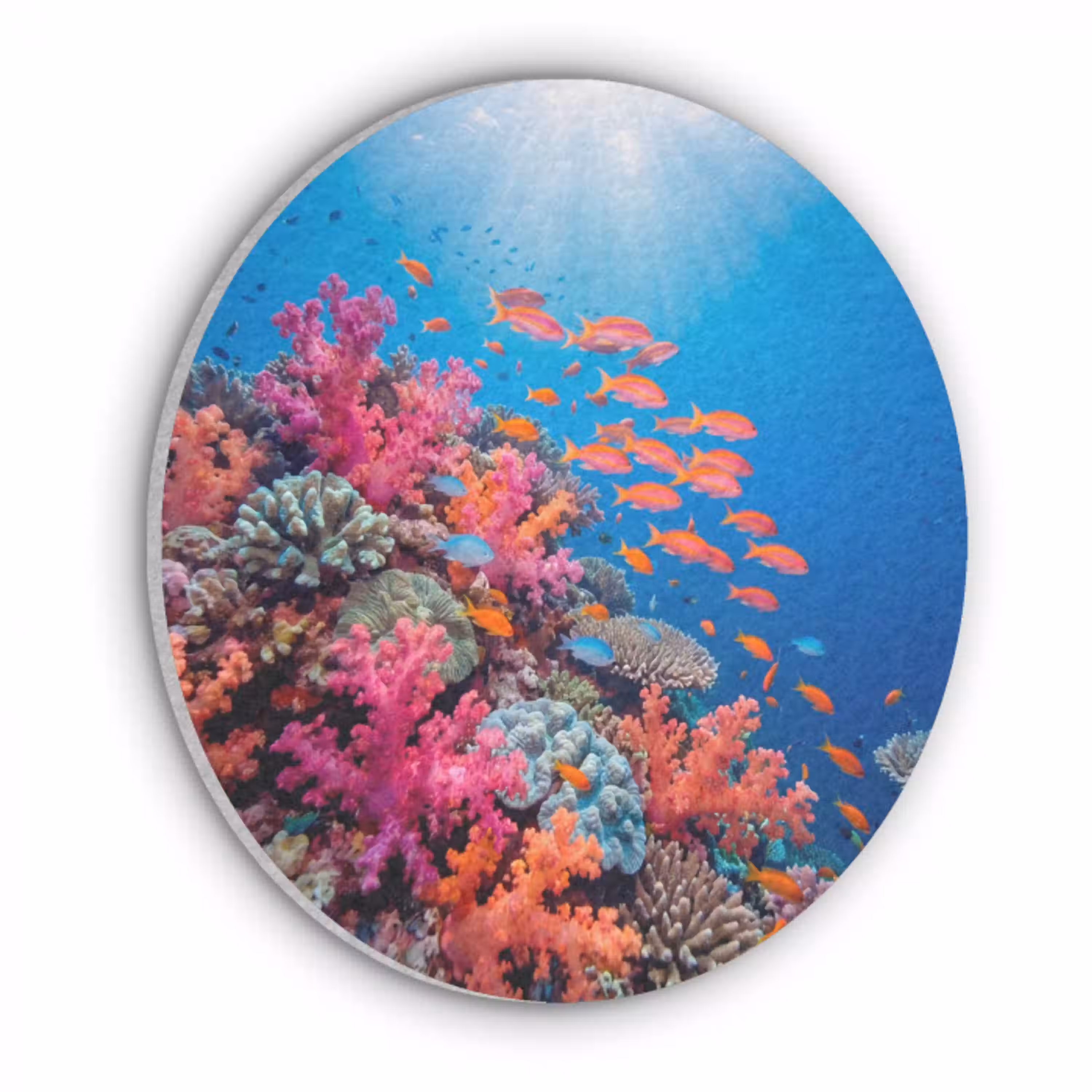 Onderwater - Koraalrif - Vissen - Oceaan - Natuur Akoestische PET Vilt - Rond klein -3d