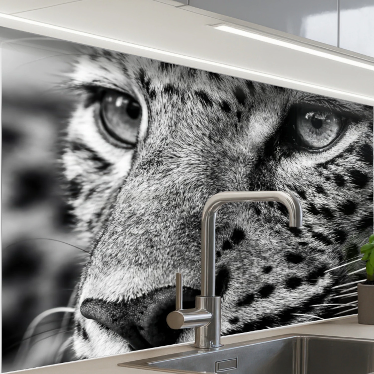 Luipaard - Zwart - Wit - Oog keuken achterwand 2 middel -zzzz3d_schuin
