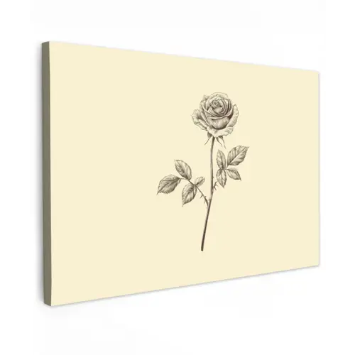 Illustratie - Zwart - Roos canvas 2cm klein -z3d