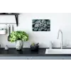 Zeesterren - Stenen - Wit Muursticker klein -keuken