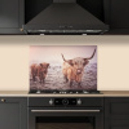 Schotse Hooglanders - Sneeuw - Zon keuken achterwand spatscherm klein -sfeer1