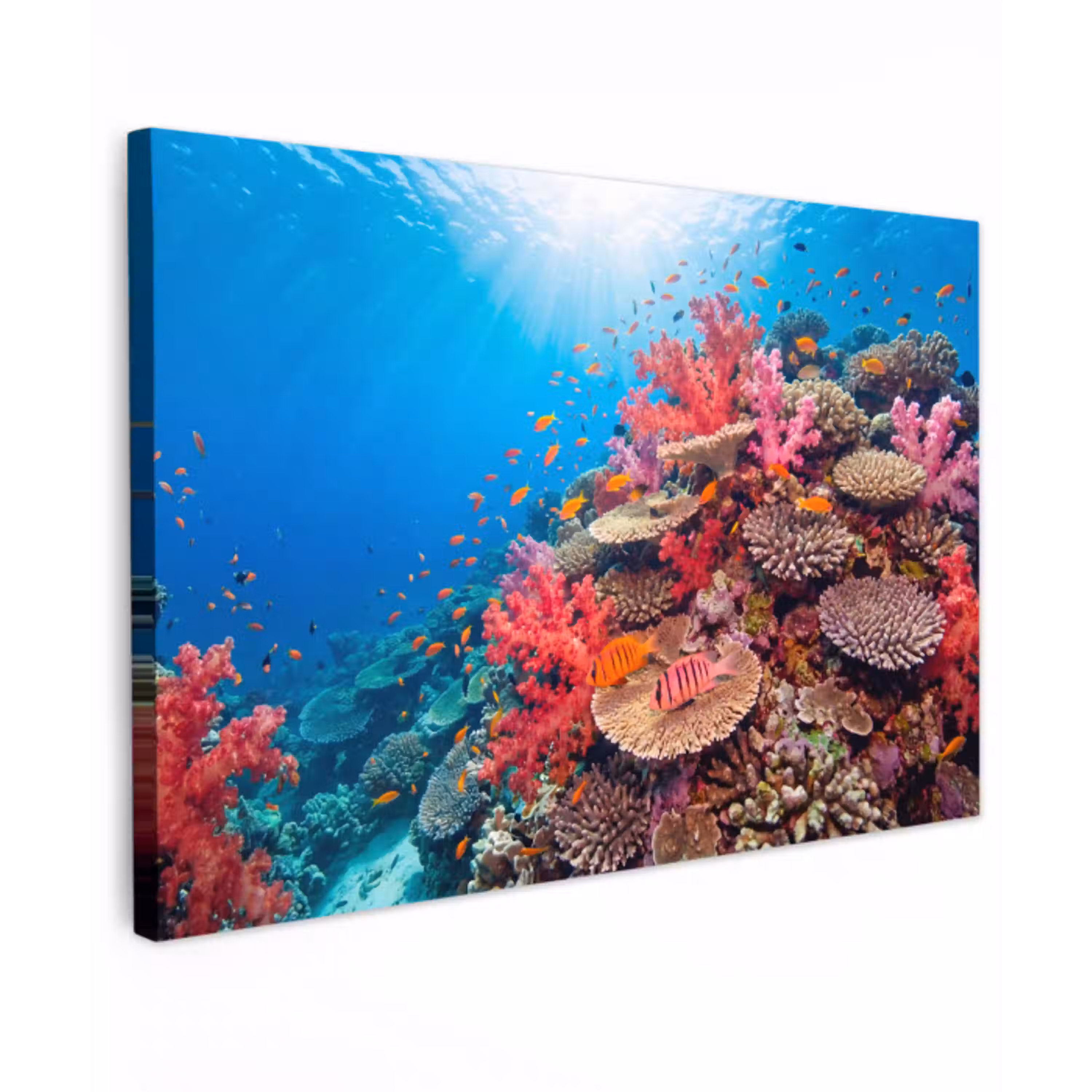 Koraalrif - Vissen - Onderwater - Tropisch - Rood Tuinposter op houten frame 2 cm dik klein -3d