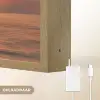 Dolfijnen - Zee - Realistisch Light Box met batterij (Wandlamp) middel -USP_websiteoplaadbaarNL