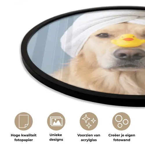 Hond - Badeend - Geel Fotolijst rond zonder passe partout klein -closeup_NL
