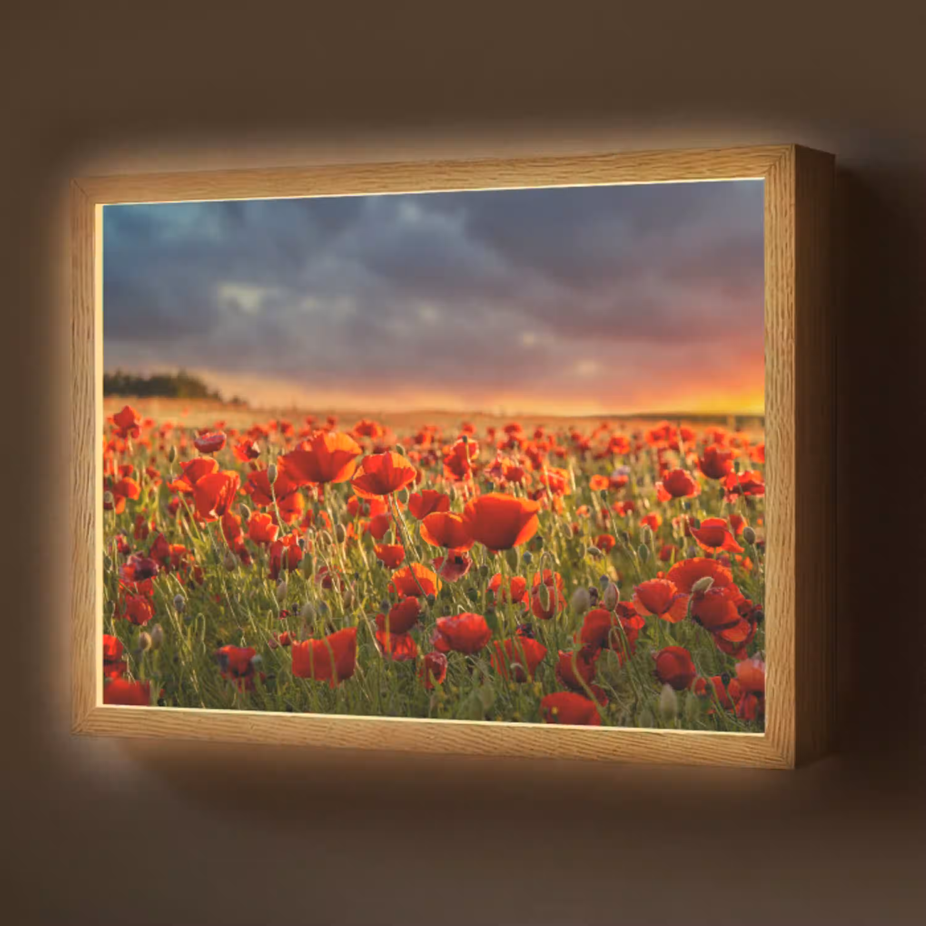 Zonsondergang - Klaprozen - Rood - Bloemen - Veld - Natuur Light Box met batterij (Wandlamp) middel -z3d_website