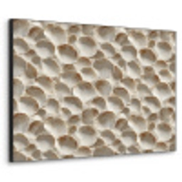 Schelpen - Waaiervorm - Wit Textielframe zwart klein 947 -3d