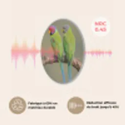 Papagaai - Tak - Natuur - Kleurrijk Akoestische PET Vilt - Rond klein -USP_FR