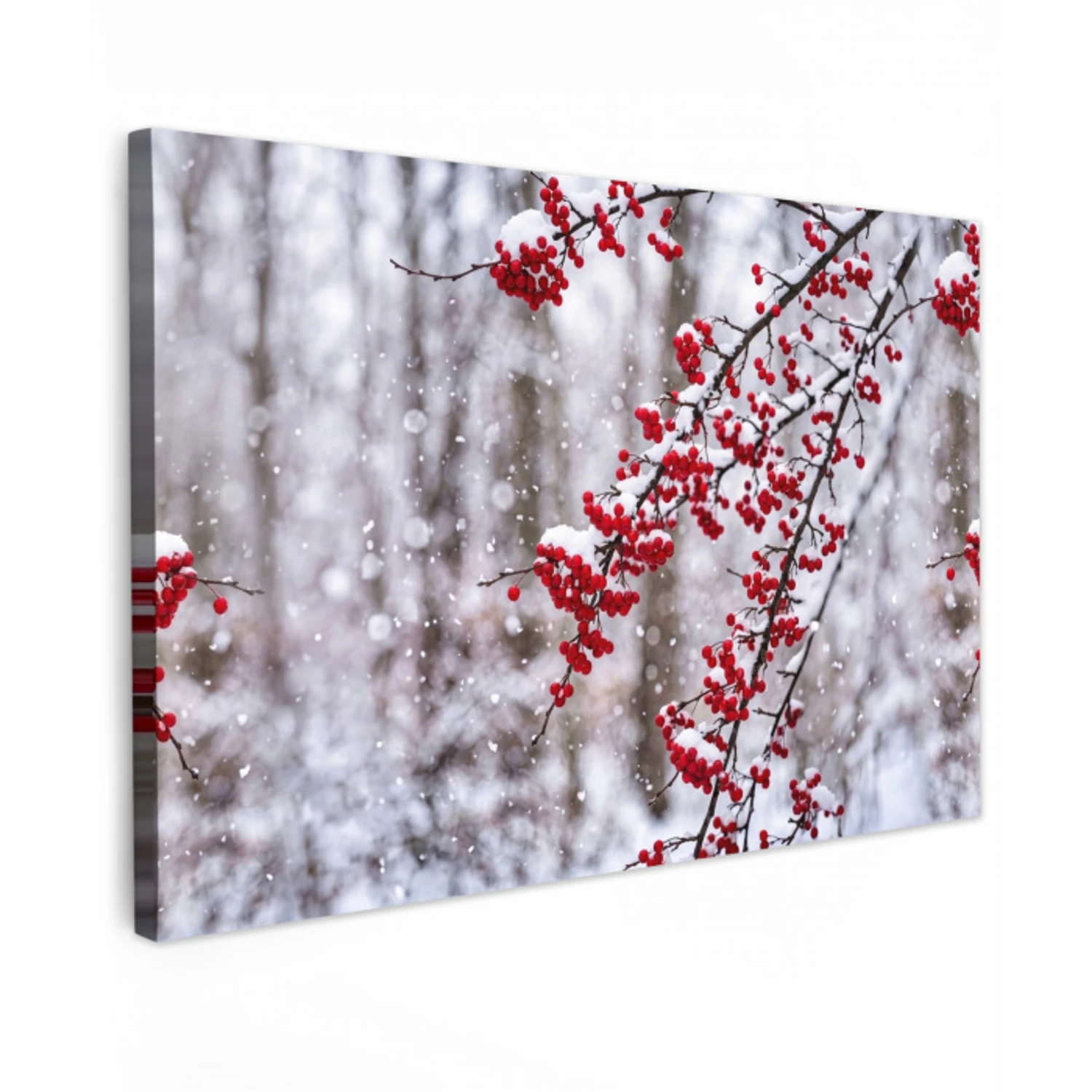 Bessen - Takken - Sneeuw - Winter - Kleurrijk canvas 2cm klein -z3d