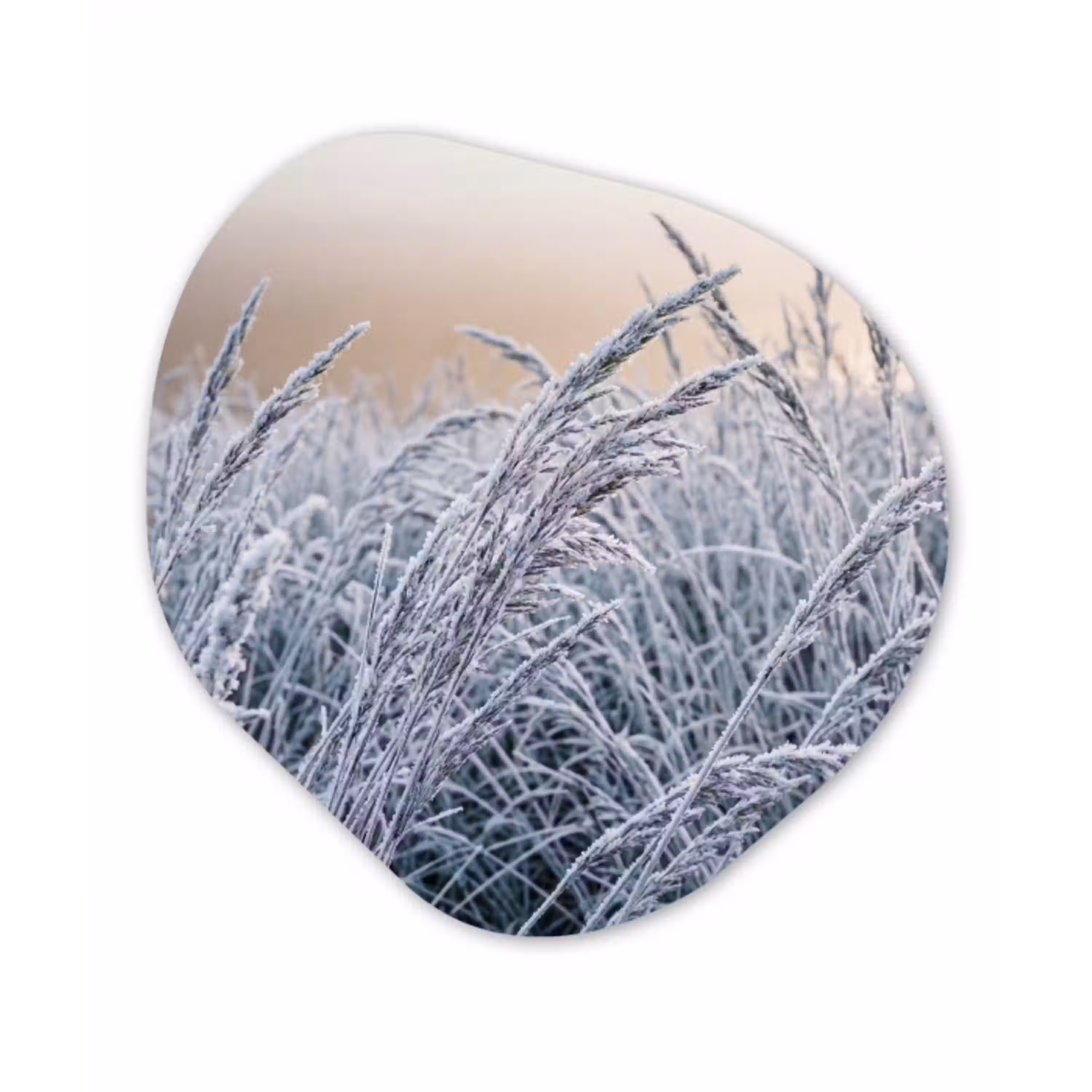 Rijp - Gras - Kristallen - Winter - Minimalistisch Wandcirkel Organisch Forex 3mm klein -3d